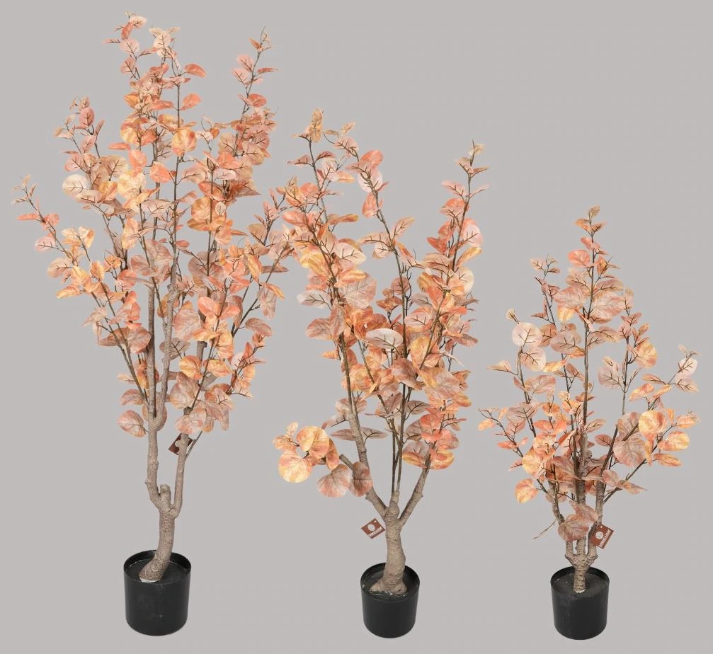 Eucalyptus potted plant 120cm